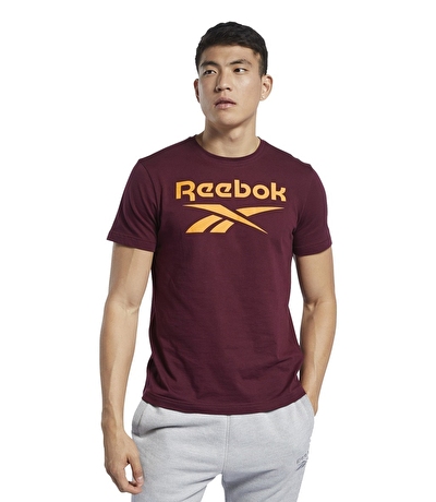 Reebok Graphic Series Stacked T-Shirt Bordo