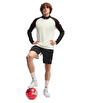 Puma individualLIGA Training Şort Siyah Bej