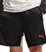 Puma individualLIGA Training Şort Siyah Bej